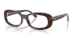 Ray-Ban RX 2221V 2012
