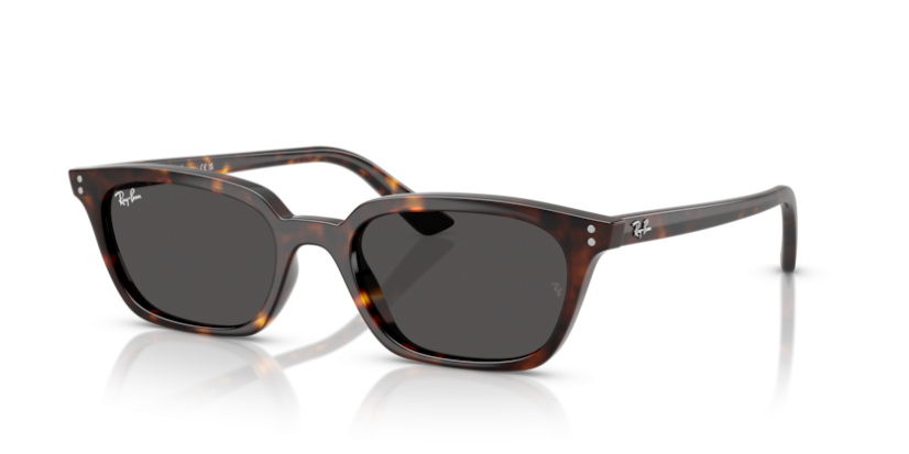 Ray-Ban RB 4456 135987 Zaya